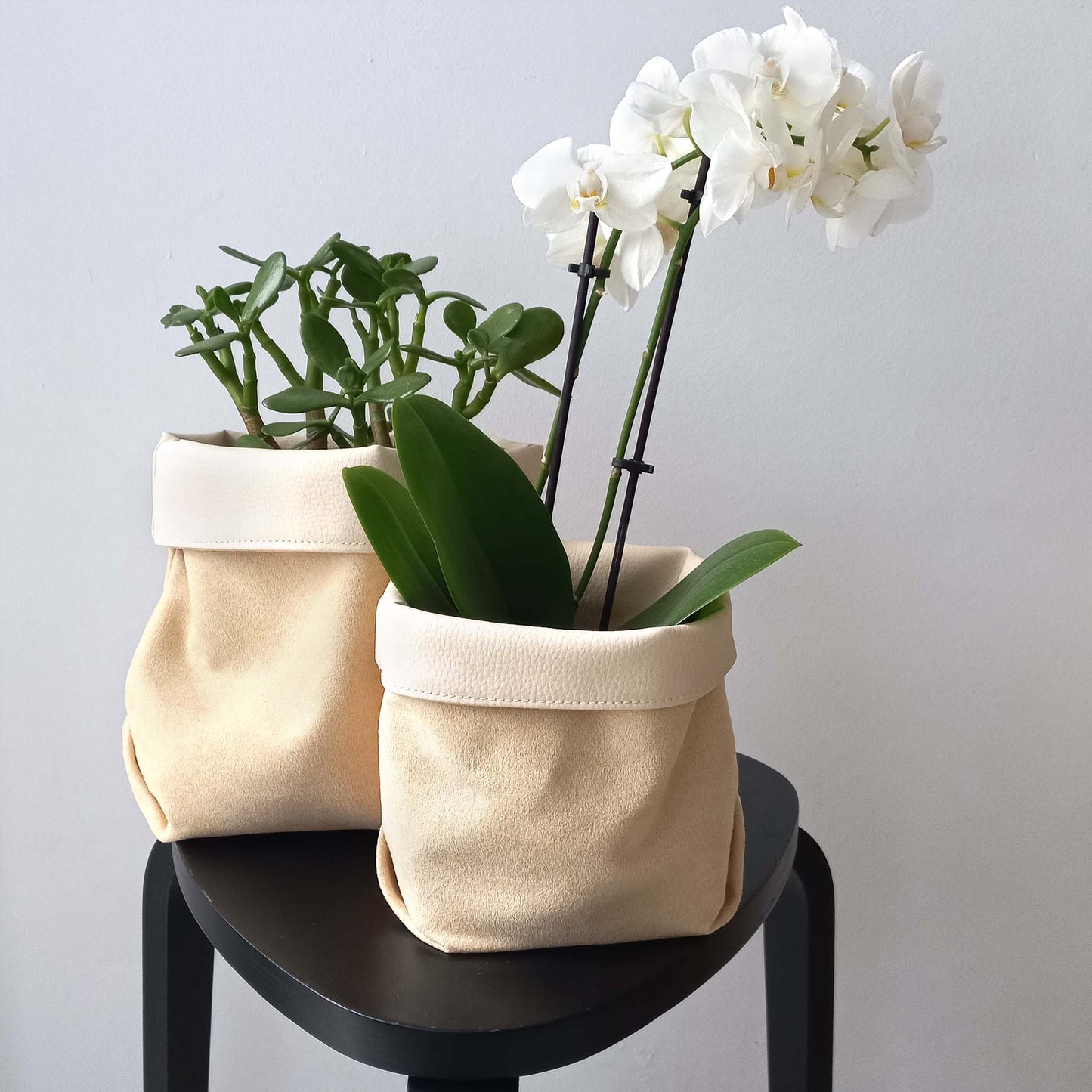 Sand yellow baskets used as plant pots