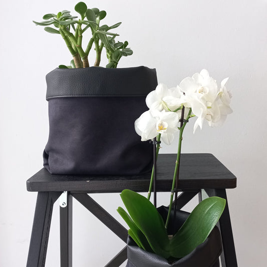 Two black baskets used as plant pots